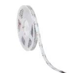   KANLUX 38915 LCOB21W/M24IP00RGBCCT LEDSZ. 24V DC 5m 24V DC RGB + 3000-6100K