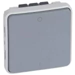 LEGRAND 069527 Plexo 55 kétpólusú kapcsoló, szürke