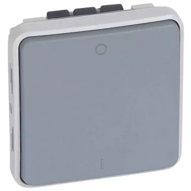 LEGRAND 069527 Plexo 55 kétpólusú kapcsoló, szürke