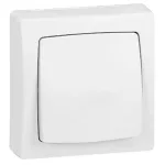   LEGRAND 086001 Oteo toggle or single pole switch, 10 AX - 250 V ~, white RAL 9010