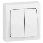   LEGRAND 086020 Oteo double toggle switch, 10 AX - 250 V ~, white RAL 9010
