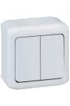 LEGRAND 782381 Forix IP44 falon kívüli kettős váltókapcsoló 10 AX - 250 V~ szürke