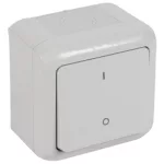   LEGRAND 782386 Forix IP44 falon kívüli kétpólusú kapcsoló 10 AX - 250 V~ szürke