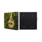 OPTONICA 634 FIX OUTDOOR P5  960/960mm front service