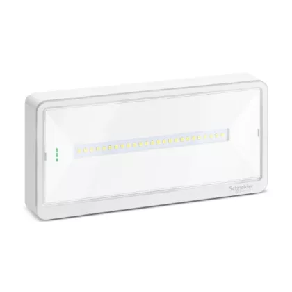   SCHNEIDER OVA44010 OVA Exiway Light vészvilágítási lámpa, IP42, IK09, 1-3 óra, 50-110 lm