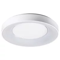 Minimalista Minimalista