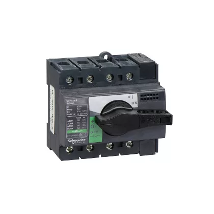   SCHNEIDER 28903 Szakaszolókapcsoló Interpact INS63 - 4-pólusú - 63 A