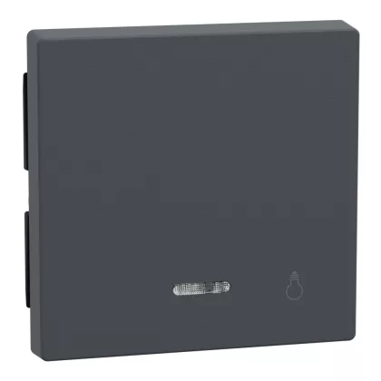   SCHNEIDER 430914 MERTEN Billentyű, lámpajellel, jelzőfényes funkciókhoz, System-M, antracit