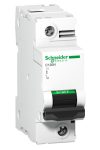 SCHNEIDER A9N18490 ACTI9 C120H kismegszakító, 1P, D, 80A