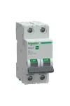 SCHNEIDER EZ9F57204 EASY9 PRO Kismegszakító, 2P, C, 4A