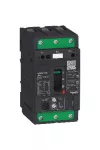 SCHNEIDER GV4PE115S GV4PE motorvédő termikus-mágneses 115A 100kA EverLink