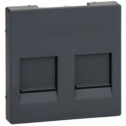   SCHNEIDER MTN4562-0414 MERTEN Cover plate for 2xRJ45 modular inserts, System-M, anthracite