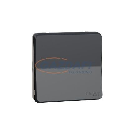 SCHNEIDER MUR35027 MUREVA Styl Egypólusú nyomó (101N), antracitszürke