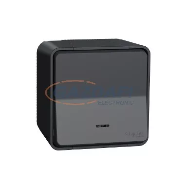 SCHNEIDER MUR35028 MUREVA Styl Egypólusú nyomó, jelzőfénnyel, komplett, antracitszürke