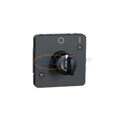 SCHNEIDER MUR35062 MUREVA Styl Kulcsos kapcsoló, 2 állású, antracitszürke