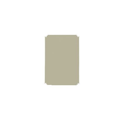 SCHNEIDER NSYPMA107 PLA107 poliészter szerelőlemez