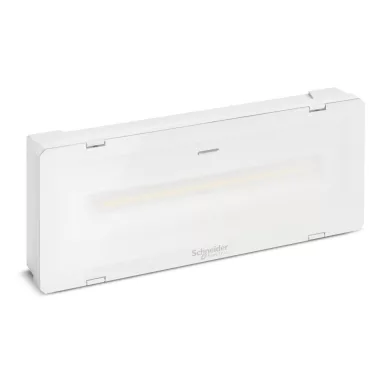 SCHNEIDER OVA48528 Emergency luminaire, Exiway Smartled, Activa/Dicube, selectable duration, 1250lm, maintained/non maintained, IP65, white