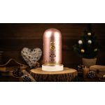 TRACON CHRGP10WW LED karácsonyi bura, diótörő, üveg, elemes (X25010) Timer 6+18h, 10LED, 3