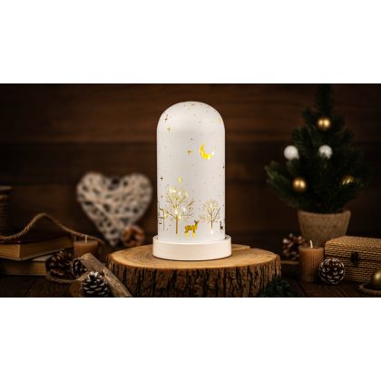   TRACON CHRGW10WW LED karácsonyi bura, tájkép, üveg, elemes (X25009) Timer 6+18h, 10LED, 3000K, 3xAA