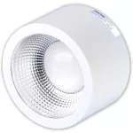   TRACON DLFTRIO25W Round LED wall luminaire with adjustable color temperature230V, 25W, 3000/4000 / 5700K, 2180/2530 / 2340lm, 90 °, IP54, EEI = A +