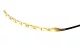 TRACON LED-SZKH-72-WW LED szalag, kültéri SMD5050,30LED/m,7,2W/m,720lm/m,W=10mm,3000K,IP65,EEI=F