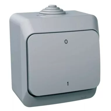 SCHNEIDER WDE000620 CEDAR PLUS Kétpólusú kapcsoló, IP44, szürke (102)