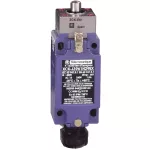 SCHNEIDER XCKJ3961H29EX Végálláskapcsoló ATEX