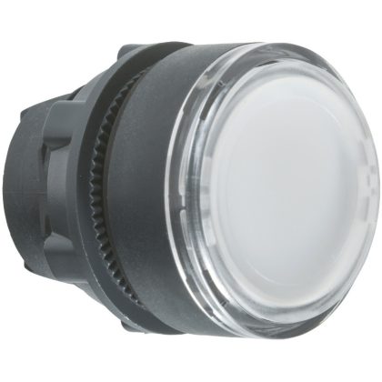 SCHNEIDER ZB5AA18 Nyomógombfej fehér, jelölt fed.lappal