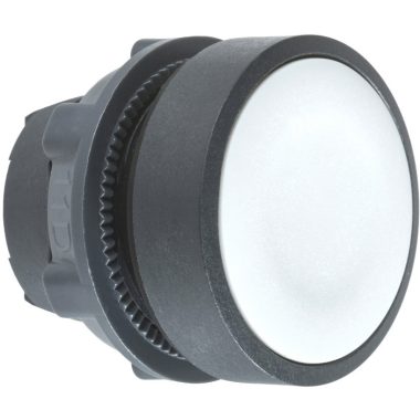 SCHNEIDER ZB5AA8 Nyomógombfej szürke