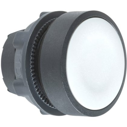 SCHNEIDER ZB5AA8 Nyomógombfej szürke