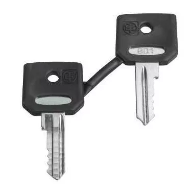 SCHNEIDER ZBD8D1 Pótkulcs: 8D1