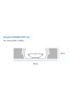 ZEBRA SAMPLE17650R Boingtech BT0A83A RFID Inlay