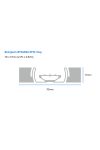 ZEBRA SAMPLE17650R Boingtech BT0A83A RFID Inlay