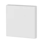 EATON 172985 CWIZ-01/31 Rockers, neutral, gloss finish, single, Pure white