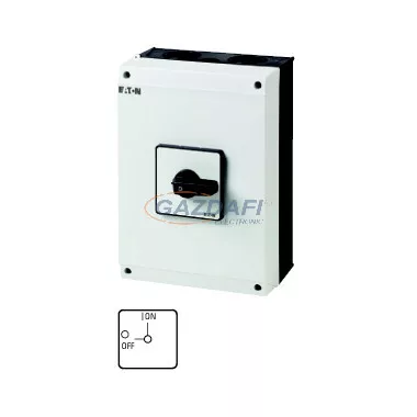 EATON 207262 T5-1-102/I5 Be-Ki kapcsoló 2p 100A tokozott