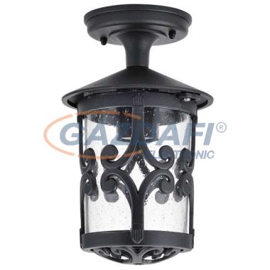 RÁBALUX 8539 Palma kültéri mennyezeti lámpa E27 100W fekete IP23 230V